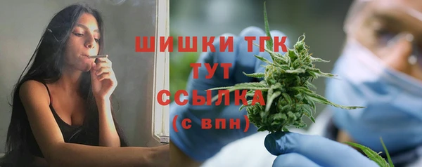 гидра Бугульма