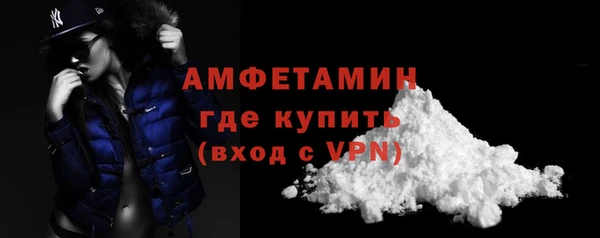 ГАЛЛЮЦИНОГЕННЫЕ ГРИБЫ Бородино