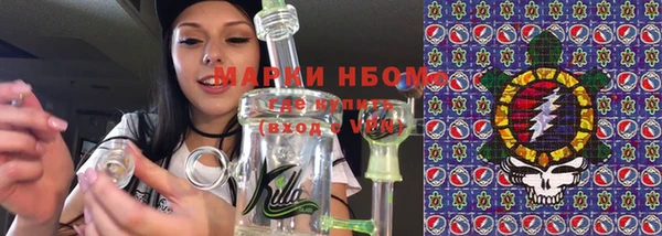 ГАЛЛЮЦИНОГЕННЫЕ ГРИБЫ Бородино