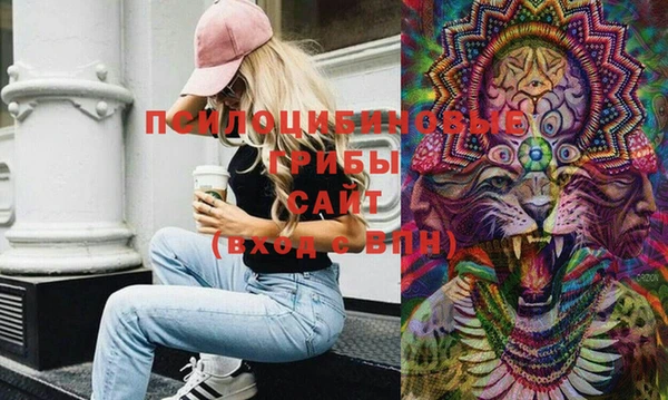 гидра Бугульма