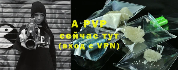 ГАЛЛЮЦИНОГЕННЫЕ ГРИБЫ Бородино