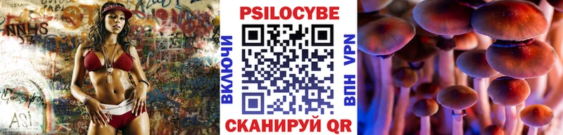 Псилоцибиновые грибы мицелий Новороссийск